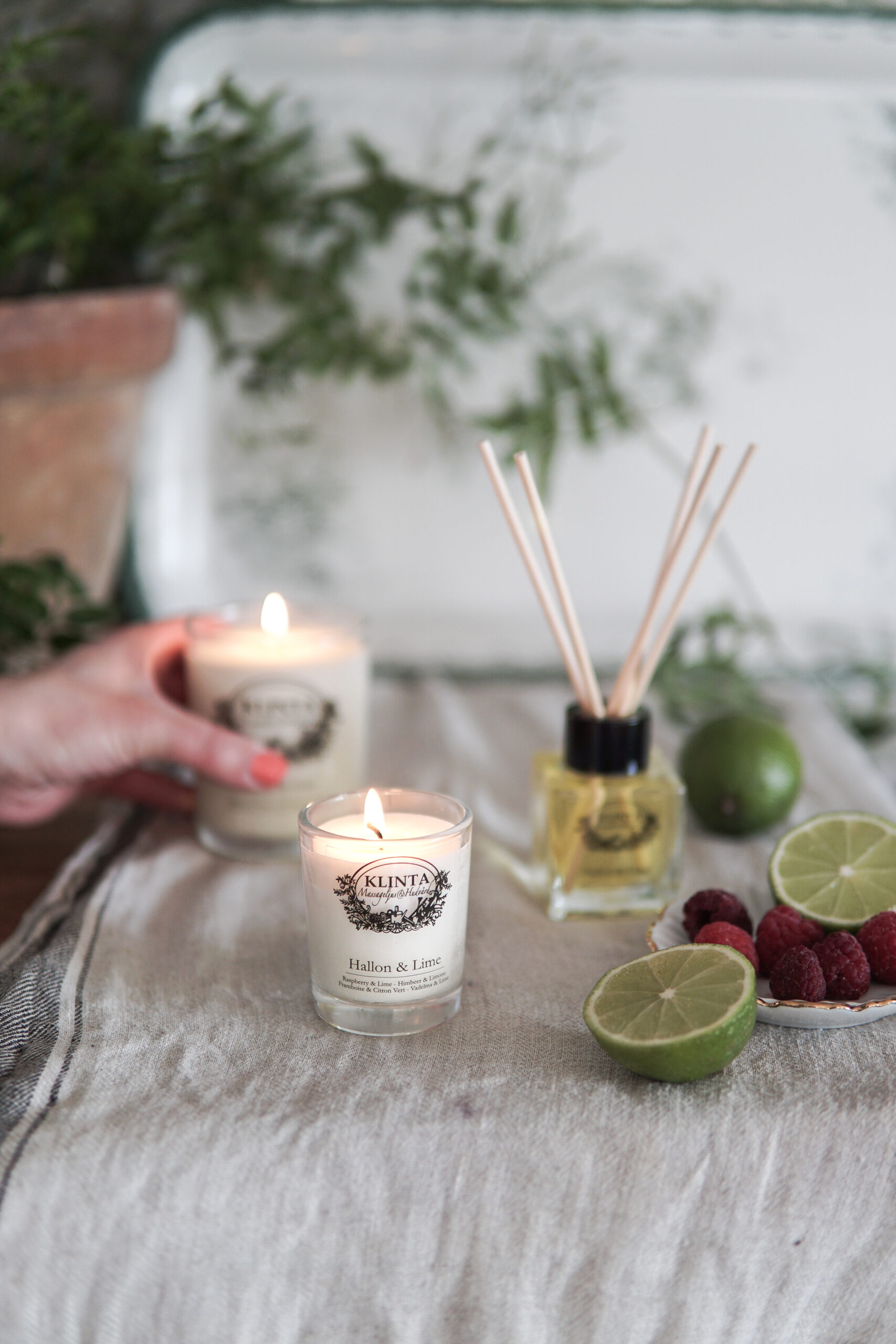Hallon & Lime kollektion 2